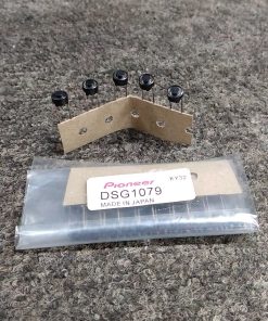 Pioneer DSG1079